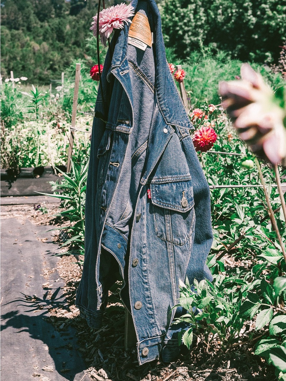 Levi’s Trucker Jacket